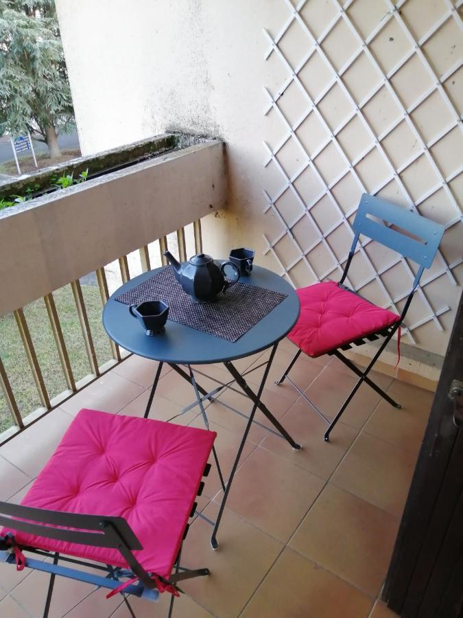 Appartement Pres De Beauval Et Des Chateaux モントリシャール エクステリア 写真
