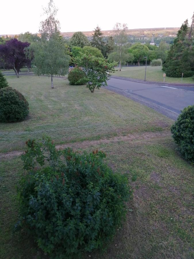 Appartement Pres De Beauval Et Des Chateaux モントリシャール エクステリア 写真